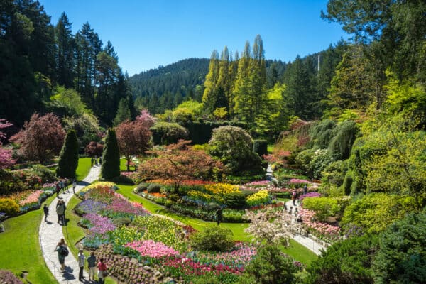 https://www.discovercanadatours.com/wp-content/uploads/2022/06/©DCT-LisanneSmeele-ButchartGardensVictoria-600x400.jpg