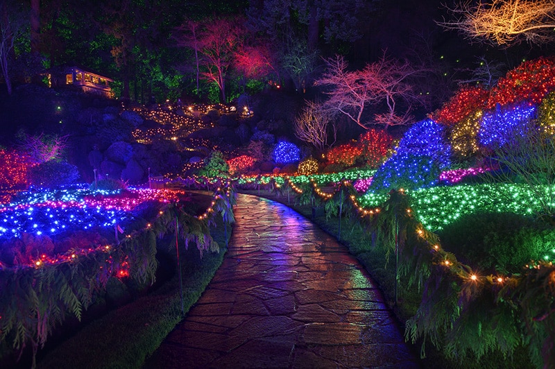 https://www.discovercanadatours.com/wp-content/uploads/2022/11/©TheButchartGardens-ChristmasLights-2.jpg