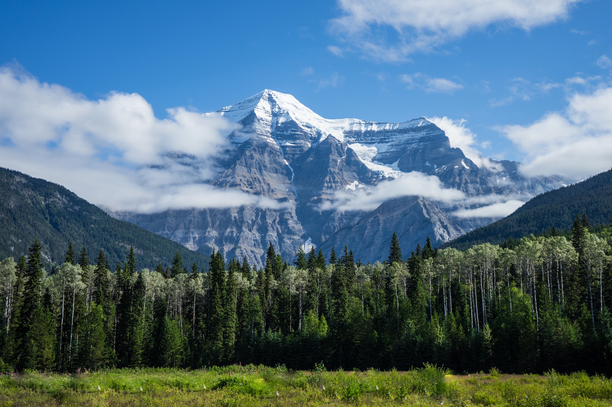 Canadian Green Mountains 