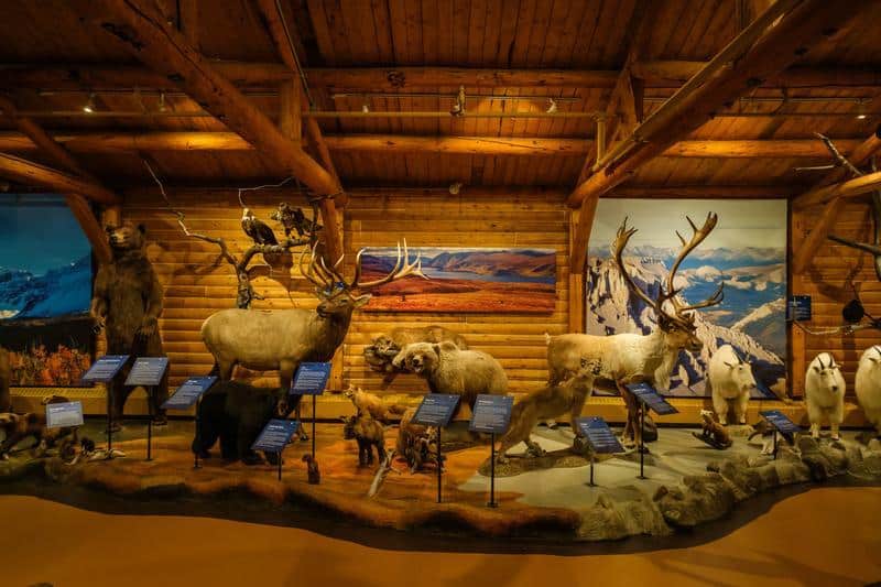 https://www.discovercanadatours.com/wp-content/uploads/2025/02/©YukonGovt-DestinationCanada-MacBrideMuseum.jpg